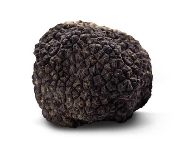 Uncinato Truffle