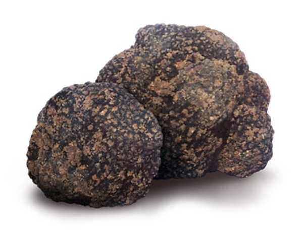 Summer Truffle