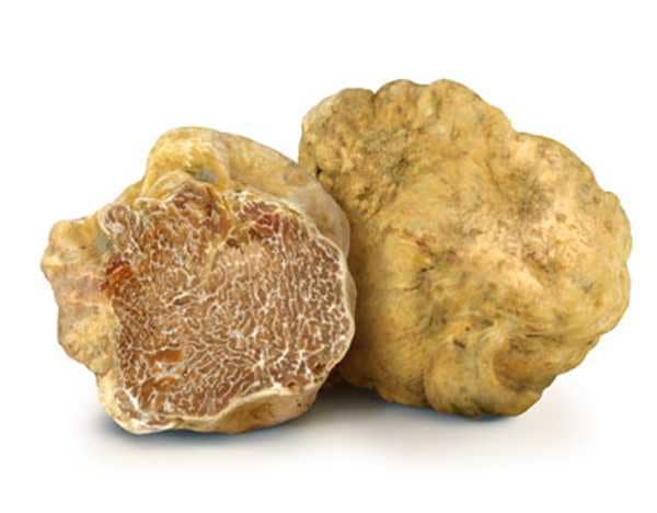White Truffle